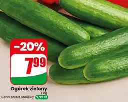 Dino Ogórek zielony oferta