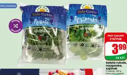 Dino Sole Gusto Sałatka rukola, roszponka, szpinak oferta