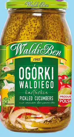 Dino Ogórki Waldiego kartuskie Waldiben oferta