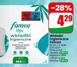Dino Wkładki higieniczne Famea oferta