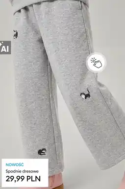 Sinsay Spodnie dresowe oferta