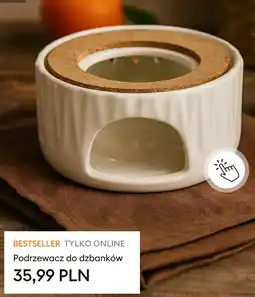 Sinsay Podrzewacz do dzbanków oferta
