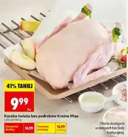 Biedronka Kaczka świeża bez podrobów Kraina Mięs oferta