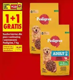 Biedronka Sucha karma dla psa z wołowiną i warzywami Pedigree oferta