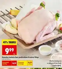 Biedronka Kaczka świeża bez podrobów Kraina Mięs oferta