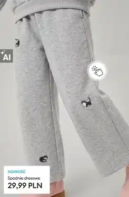 Sinsay Spodnie dresowe oferta