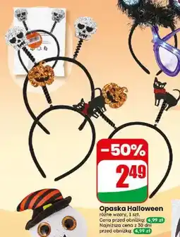 Dino Opaska Halloween oferta