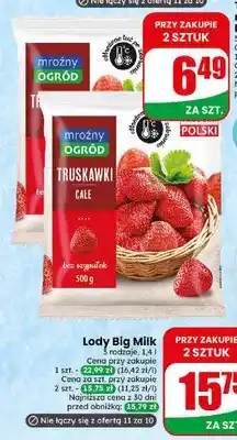 Dino Truskawki mrożone Mroźny Ogród oferta
