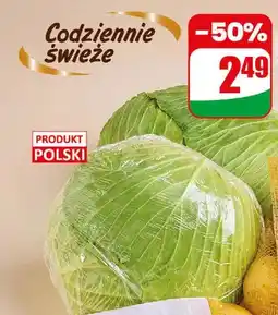 Dino Kapusta na gołąbki oferta