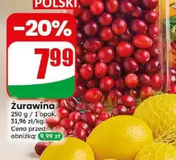 Dino Żurawina oferta