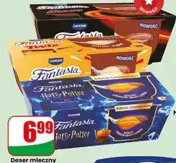 Dino Deser mleczny Fantasia Twix 2-pak Danone oferta