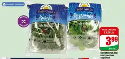 Dino Sałata rukola Sole Gusto oferta