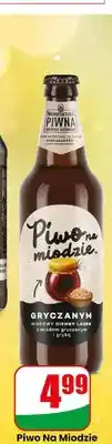 Dino Piwo na miodzie gryczanym Manufaktura Piwna oferta