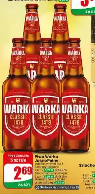 Dino Piwo Warka oferta