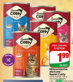 Dino Mokra karma dla kota Sweet Catty oferta