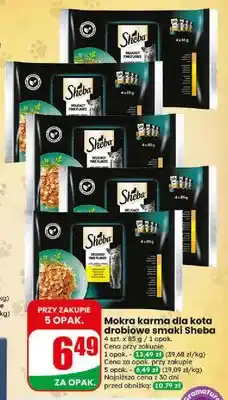 Dino Mokra karma dla kota drobiowe smaki Sheba 4-pak oferta