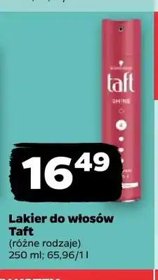 Netto Lakier do włosów Taft oferta