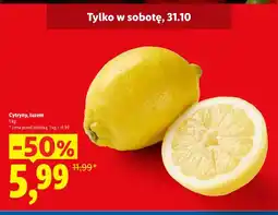 Lidl Cytryny oferta