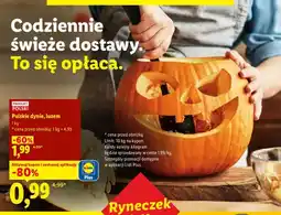 Lidl Dynie polskie luzem oferta