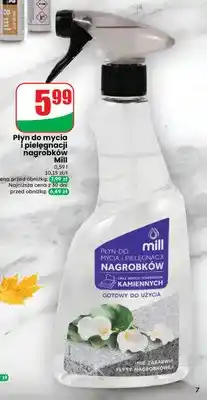 Dino Płyn do mycia i pielęgnacji nagrobków Mill oferta
