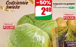 Dino Kapusta na gołąbki oferta
