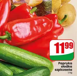 Dino Papryka słodka szpiczasta oferta