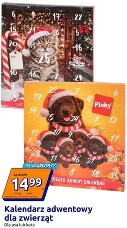 Action Kalendarz adwentowy dla zwierząt Pinky / Purrfections oferta