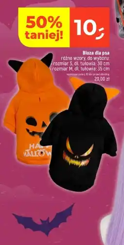 Dealz Bluza dla psa oferta