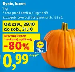 Lidl Dynie, luzem oferta