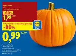 Lidl Dynie, luzem oferta