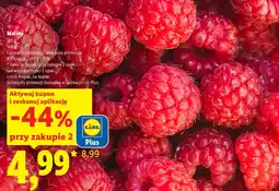 Lidl Maliny oferta