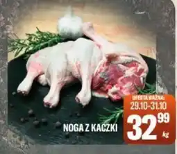 TomiMarkt NOGA Z KACZKI oferta