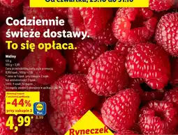 Lidl Maliny oferta