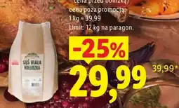 Lidl Gęs Biała Kołudzka oferta