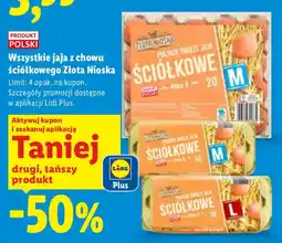 Lidl Jaja Ściółkowe Złota Nioska oferta