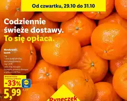 Lidl Mandarynki, luzem oferta