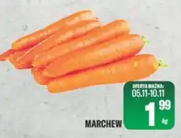 TomiMarkt Marchew oferta