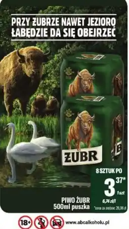 TomiMarkt Piwo Żubr oferta