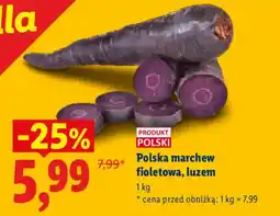 Lidl Polska marchew fioletowa, luzem oferta