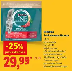 Lidl Purina Sucha karma dla kota oferta