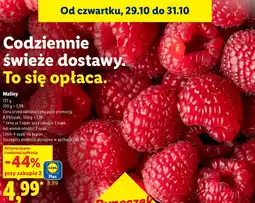 Lidl Maliny oferta