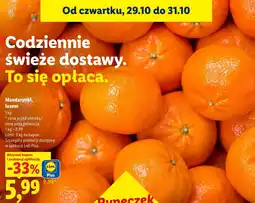 Lidl Mandarynki Plus-Plus oferta