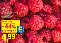 Lidl Maliny Plus-Plus oferta