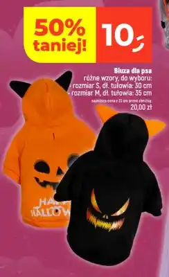 Dealz Bluza dla psa rozmiar S dł. tułowia 30 cm oferta