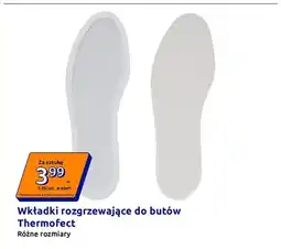 Action Wkładki rozgrzewające do butów Thermofect oferta