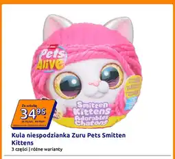 Action Kula niespodzianka Zuru Pets Smitten Kittens 3 części oferta