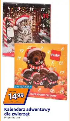 Action Kalendarz adwentowy dla zwierząt dla kota Purrfections oferta