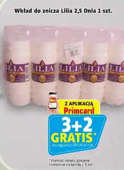 Prim Market Wkład do znicza Lilia oferta