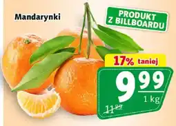 Prim Market Mandarynki oferta