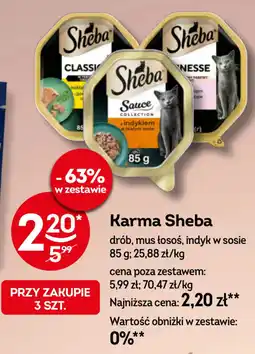 Żabka Karma Sheba oferta